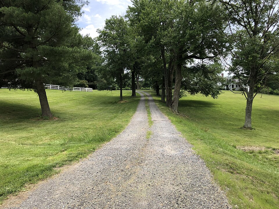Gravel driveway through a residential property